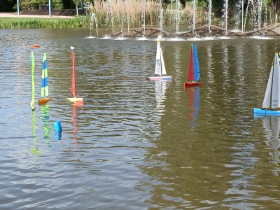 IMG_20260426_110618.jpg