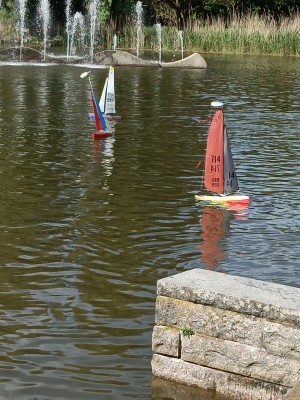 IMG_20260426_110456.jpg